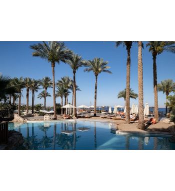 Шарм Эль Шейх из Ташкента